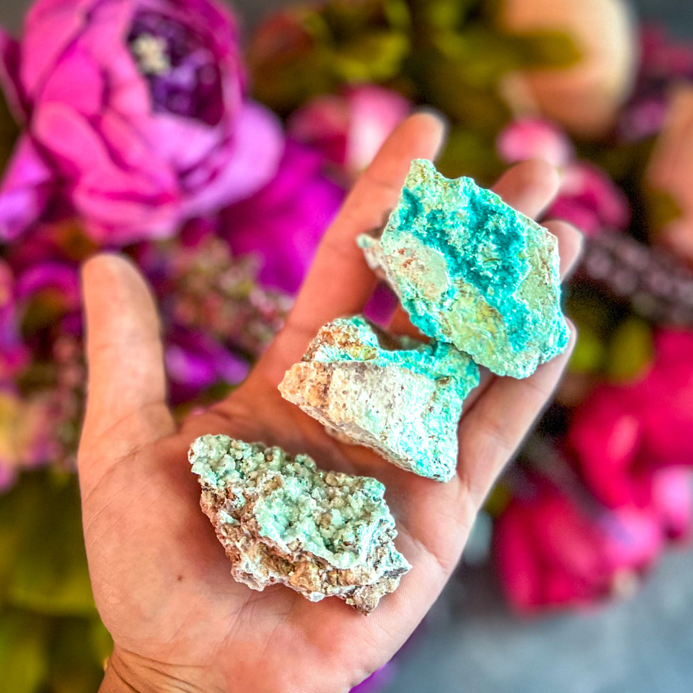 Raw Aurichalcite with Hemimorphite Specimens, USA Minerals (ONLINE ORDER ONLY)