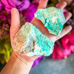 Raw Aurichalcite with Hemimorphite Specimens, USA Minerals (ONLINE ORDER ONLY)