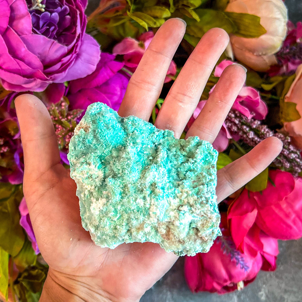Raw Aurichalcite with Hemimorphite Specimens, USA Minerals (ONLINE ORDER ONLY)