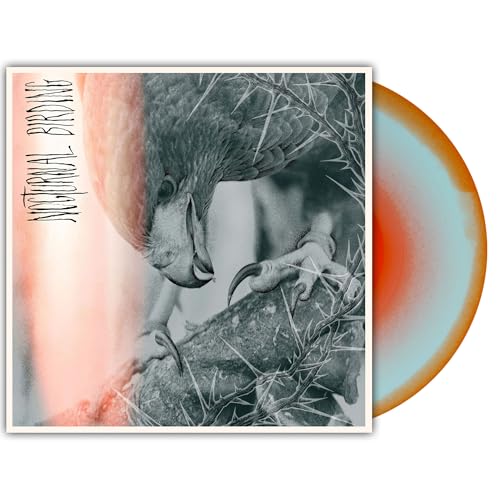 Nocturnal Birding [Vinyl] (ONLINE ORDER ONLY)