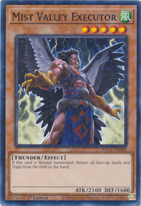 Mist Valley Executor (Duel Terminal) [HAC1-EN060] Common (ONLINE ORDER ONLY)