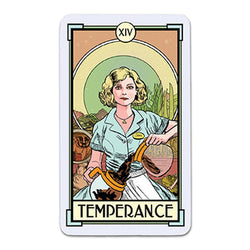 Christina Ricci's Cat Full of Spiders Tarot Deck and Guidebook (ONLINE ORDER ONLY)