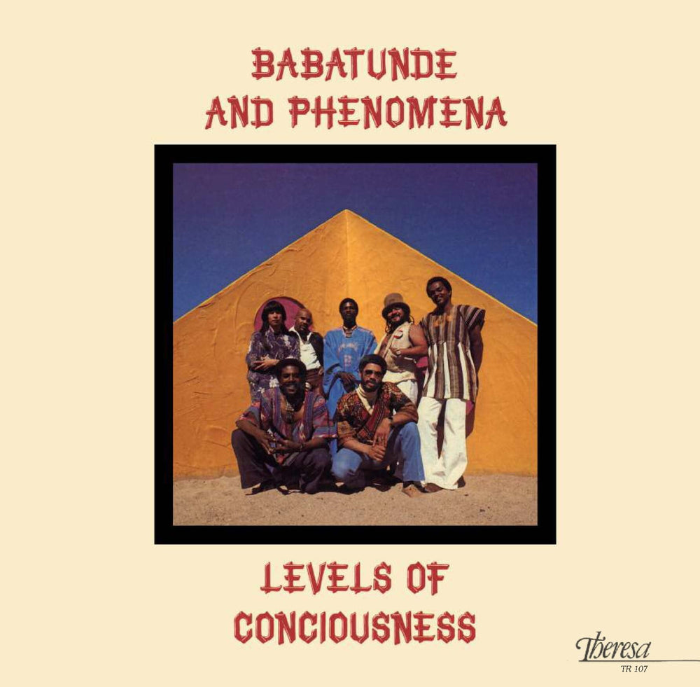 Levels Of Consciousness [Vinyl] (ONLINE ORDER ONLY)