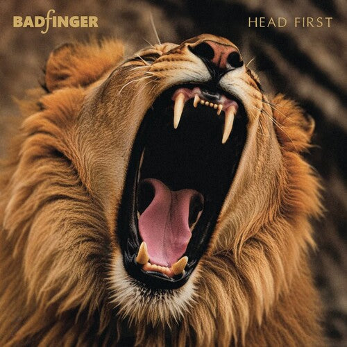 Head First: 50th Anniversary Special Edition [Import] [CD] (ONLINE ORDER ONLY)