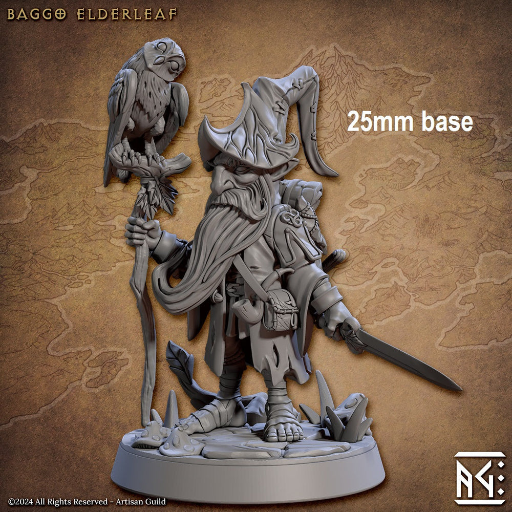 Baggo Elderleaf (Male Gnome Wizard) (Online Order Only)