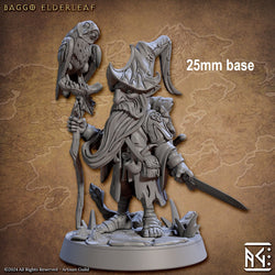 Baggo Elderleaf (Male Gnome Wizard) (Online Order Only)