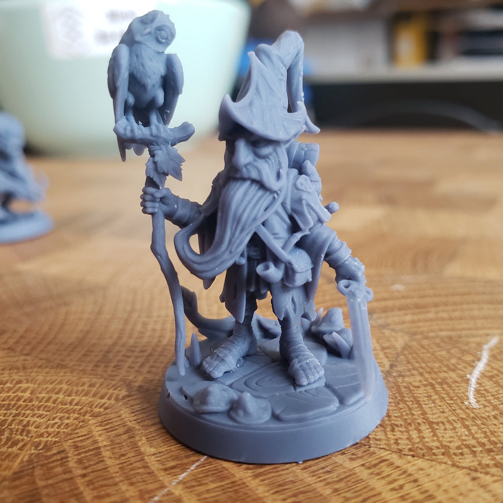 Baggo Elderleaf (Male Gnome Wizard) (Online Order Only)