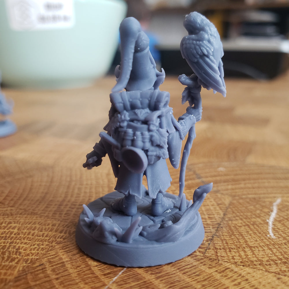 Baggo Elderleaf (Male Gnome Wizard) (Online Order Only)
