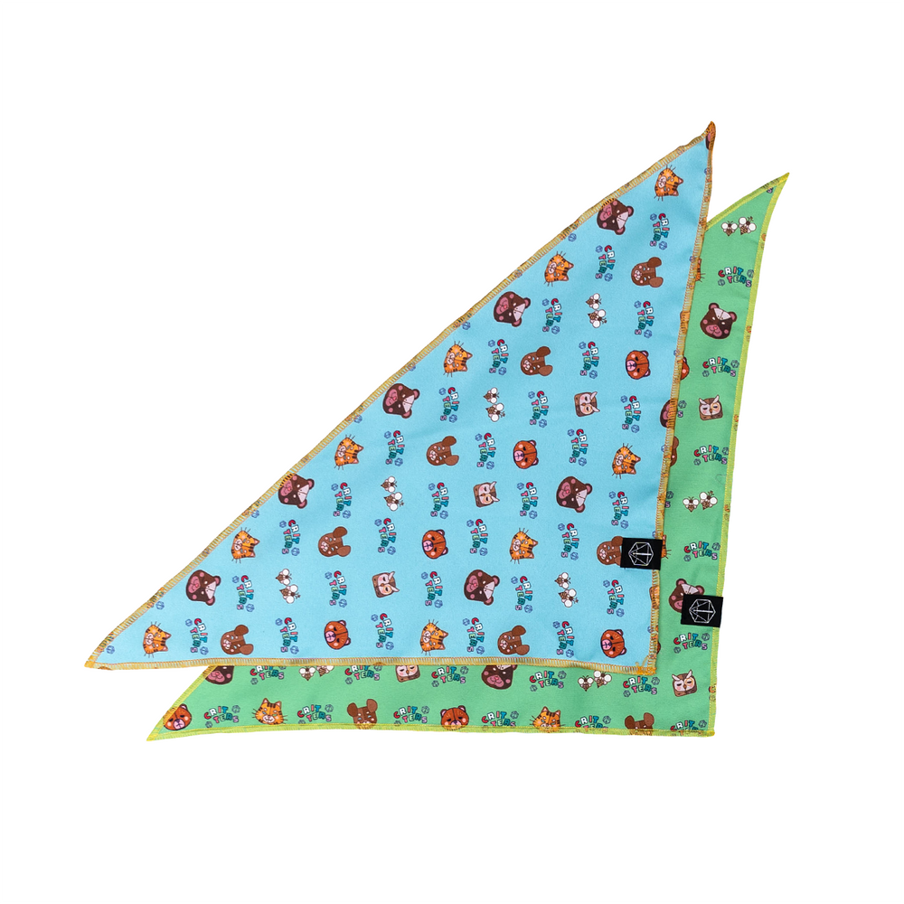 Critical Role: Reversible Pet Bandana Set 2-Pack (L) (ONLINE ORDER ONLY)