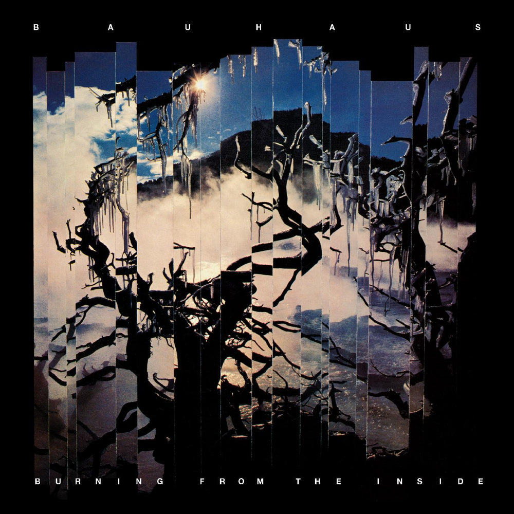 Burning From The Inside [CD] (ONLINE ORDER ONLY)