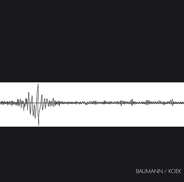 Baumann/Koek [Vinyl] (ONLINE ORDER ONLY)