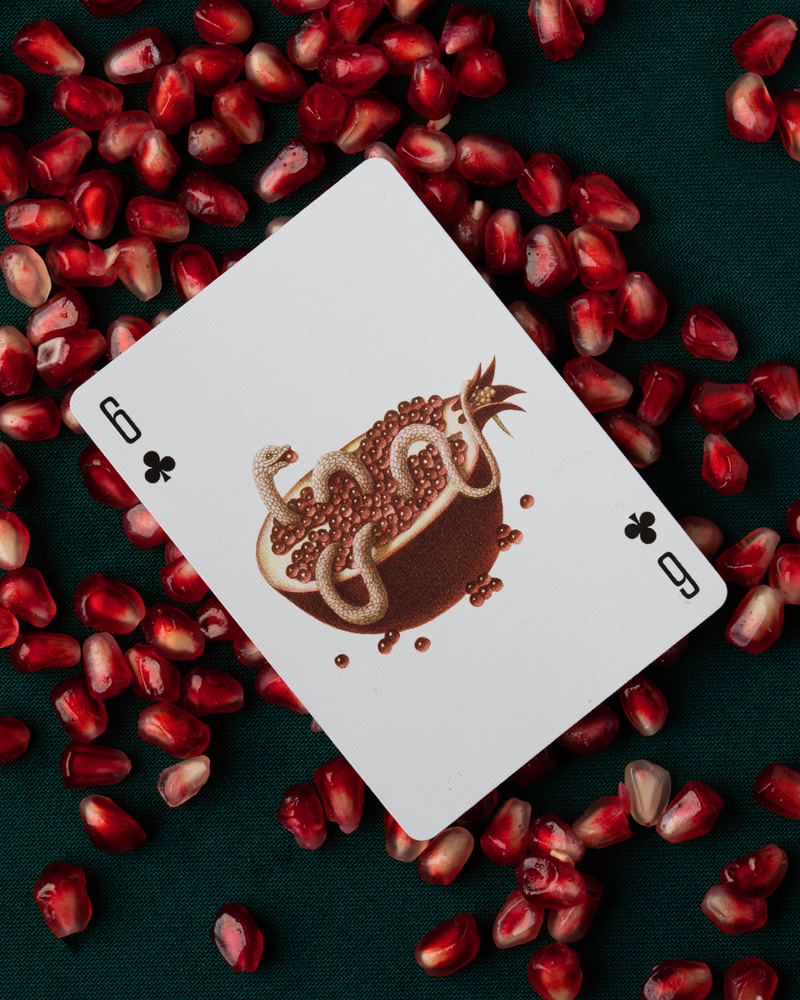 Cabinetarium Playing Cards (ONLINE ORDER ONLY)