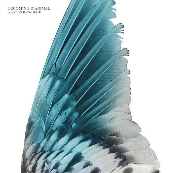 BECOMING ANIMAL - A Distant Hand Lifted [Vinyl] (ONLINE ORDER ONLY)