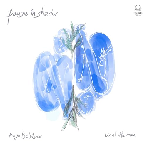 Pauses In Shades [CD] (ONLINE ORDER ONLY)