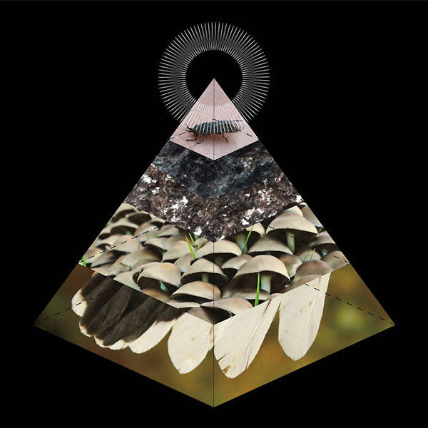 BELUS - Apophenia [Vinyl] (ONLINE ORDER ONLY)
