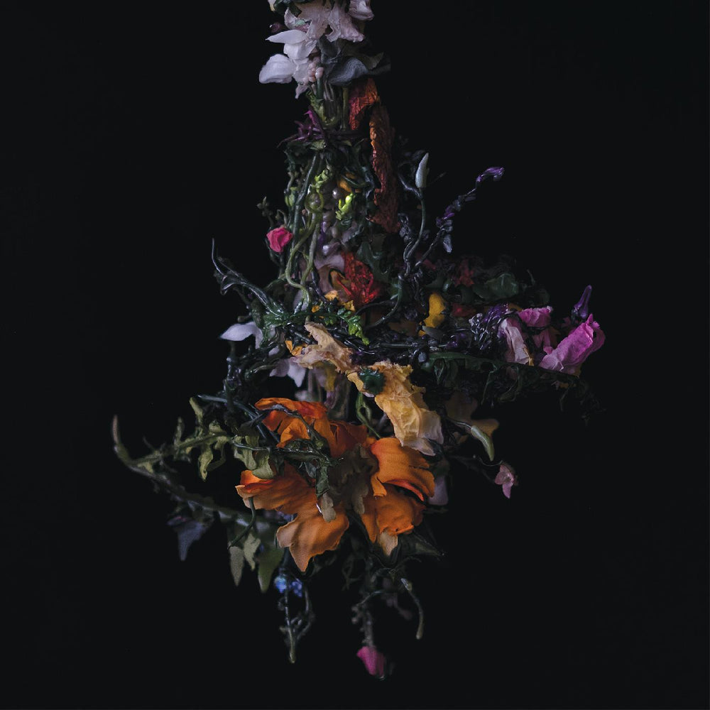 BIG|BRAVE - nature morte [CD] (ONLINE ORDER ONLY)