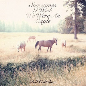 Sometimes I Wish We Were an Eagle [Vinyl] (ONLINE ORDER ONLY)