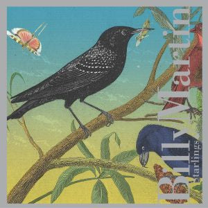 Starlings [CD] (ONLINE ORDER ONLY)