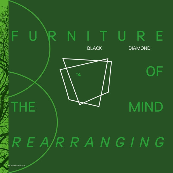 Furniture Of Mind Rearranging [Vinyl] (ONLINE ORDER ONLY)