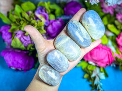 BLUE Moonstone Crystal Palmstones (ONLINE ORDER ONLY)