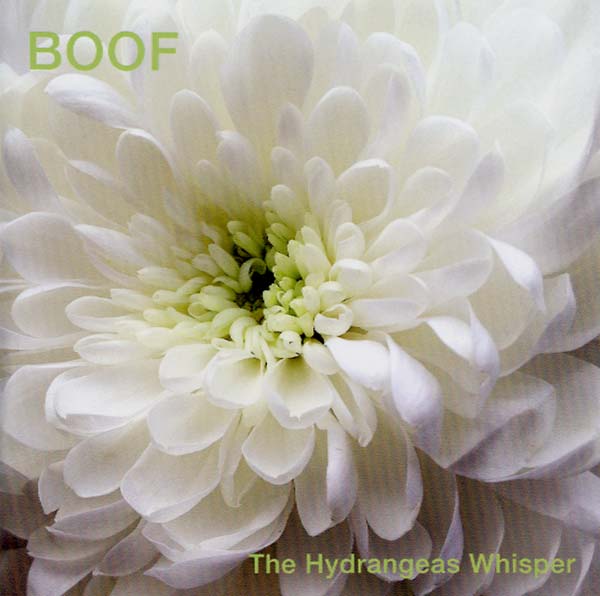 BOOF - The Hydrangeas Whisper [CD] (ONLINE ORDER ONLY)
