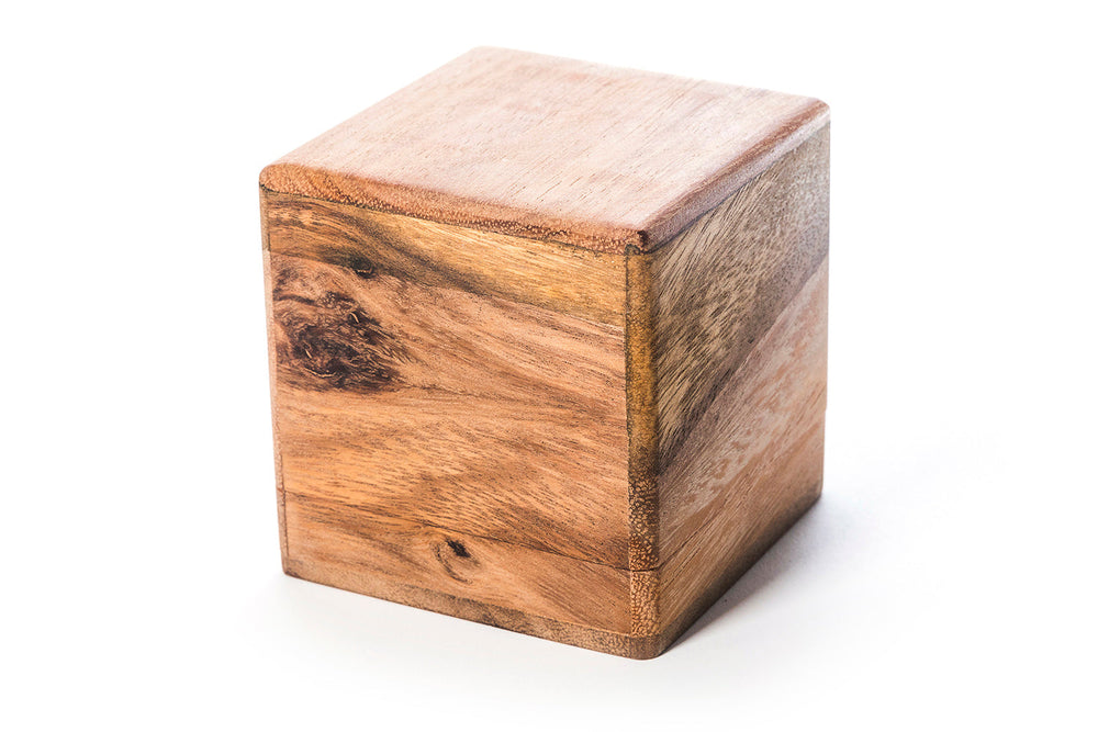 BrainStorm - Wooden Assembly Puzzle (Online Order Only)