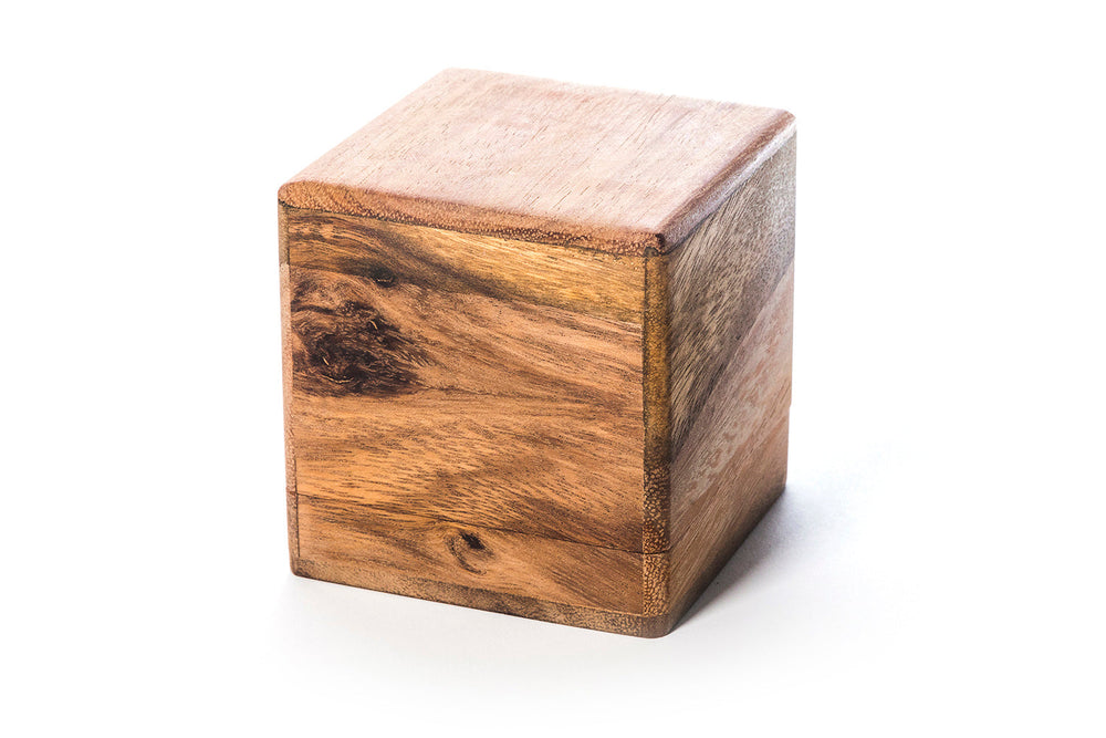 BrainStorm - Wooden Assembly Puzzle (Online Order Only)