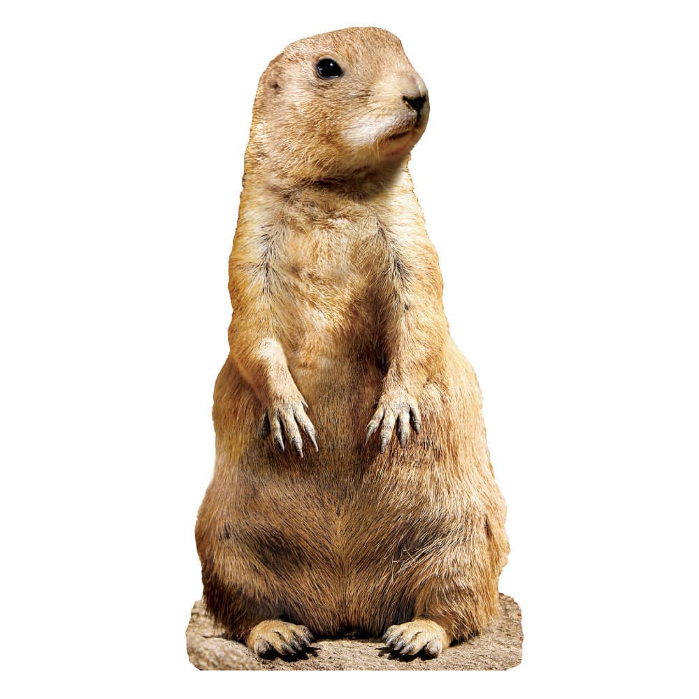 Prairie Dog 100 Piece Shaped Jigsaw Puzzle