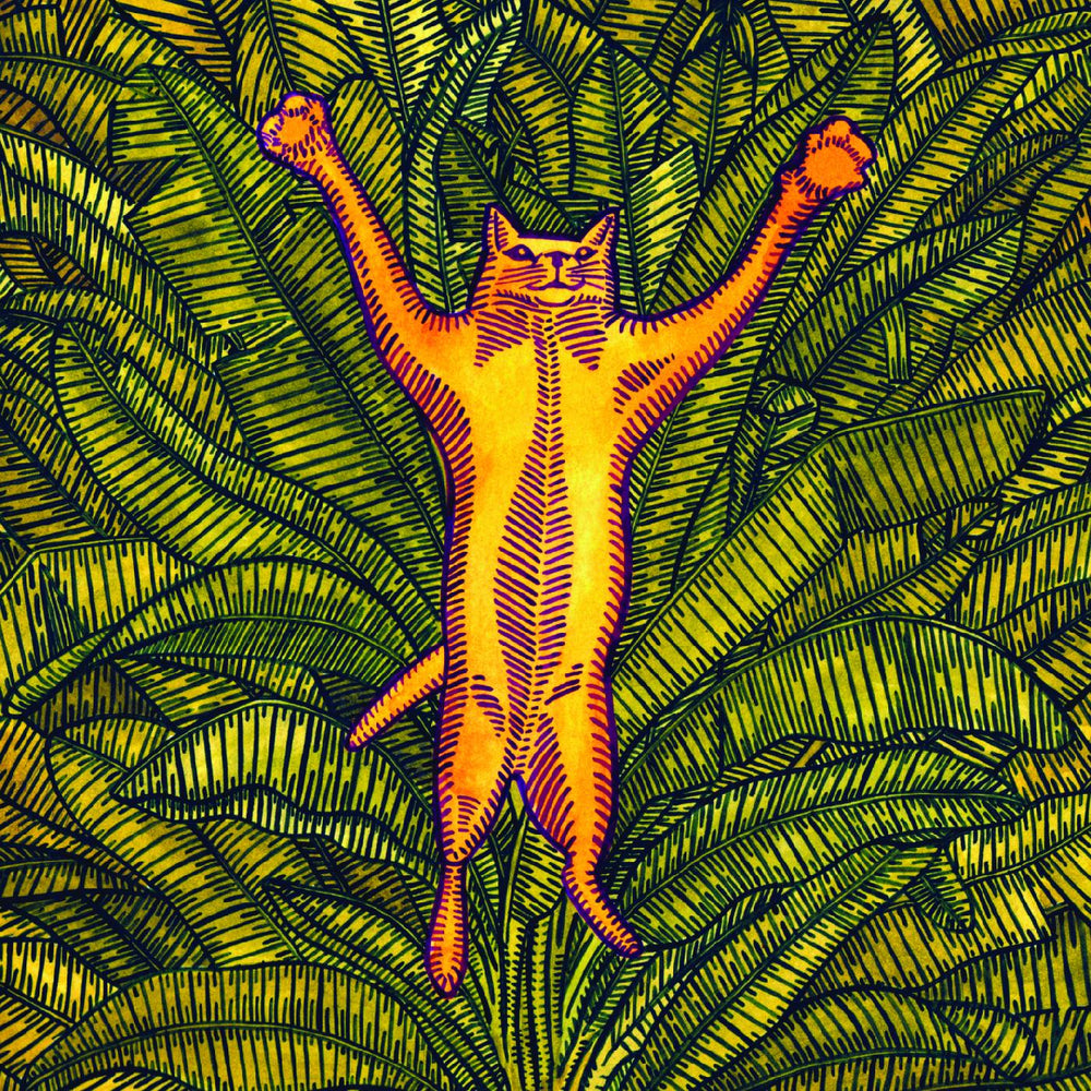 Gatos Do Sul [CD] (ONLINE ORDER ONLY)