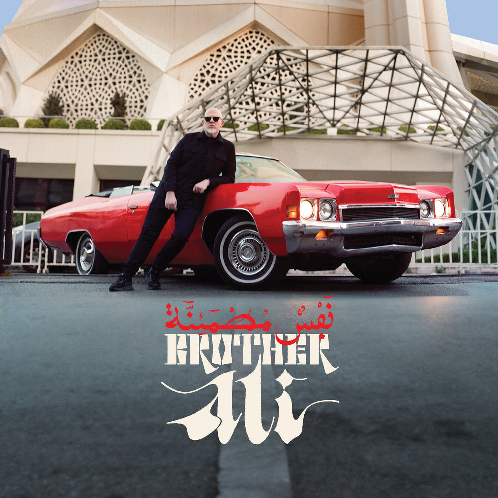 Satisfied Soul (Deluxe Edition) [Vinyl] (ONLINE ORDER ONLY)