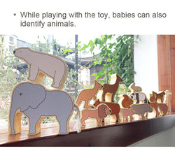 Animal Balance Building Blocks (ONLINE ORDER ONLY)
