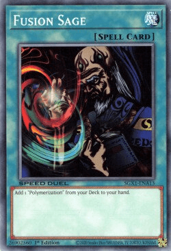 Fusion Sage [SGX1-ENA13] Common (ONLINE ORDER ONLY)