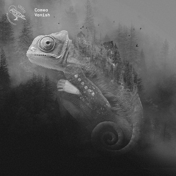 Vanish [Vinyl] (ONLINE ORDER ONLY)