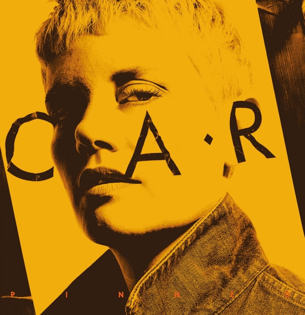 Pinned [Vinyl] (ONLINE ORDER ONLY)