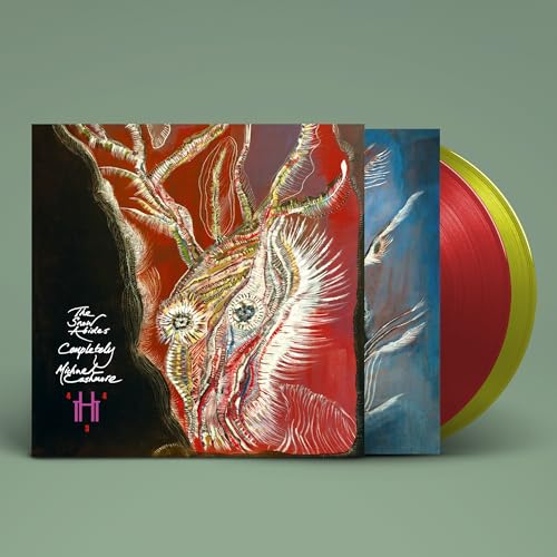 The Snow Abides Completely [Vinyl] (ONLINE ORDER ONLY)
