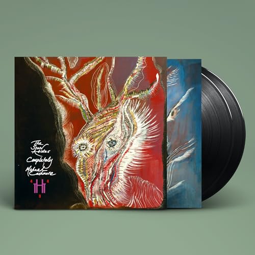The Snow Abides Completely [Vinyl] (ONLINE ORDER ONLY)