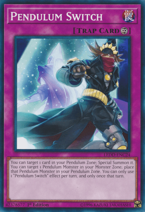 Pendulum Switch [LEDD-ENC24] Common (ONLINE ORDER ONLY)