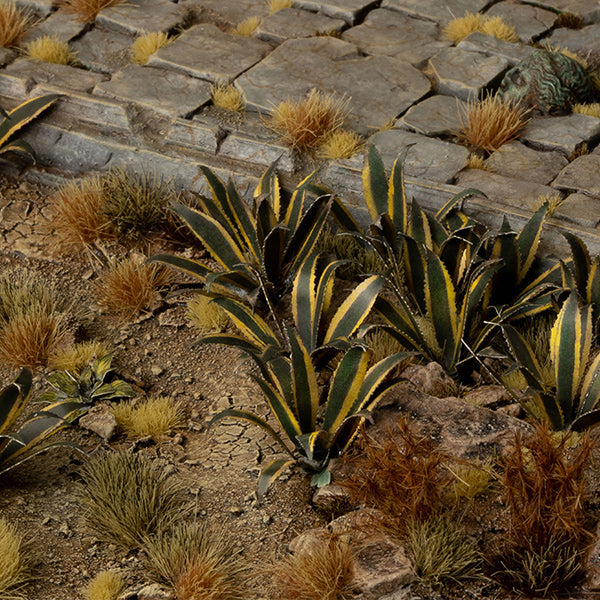 Gamers Grass Laser Plants: Agave (ONLINE ORDER ONLY)