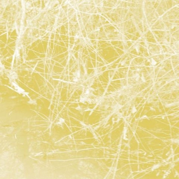 CELER - Cursory Asperses [CD] (ONLINE ORDER ONLY)