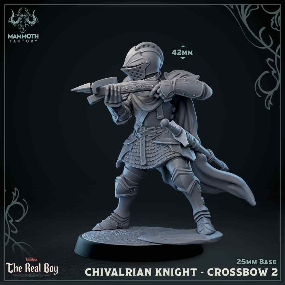 Chivalrian Knight with Crossbow 2 (Paladin) (Online Only)