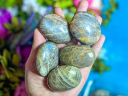 Chocolate Moonstone Crystal Palmstones (ONLINE ORDER ONLY)