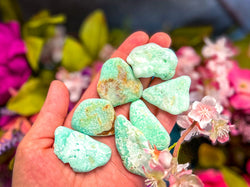 POLISHED CHRYSOPRASE Specimens (ONLINE ORDER ONLY)