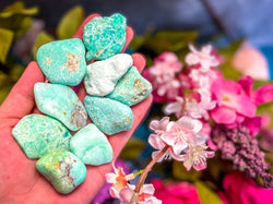 POLISHED CHRYSOPRASE Specimens (ONLINE ORDER ONLY)