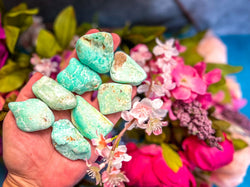 POLISHED CHRYSOPRASE Specimens (ONLINE ORDER ONLY)