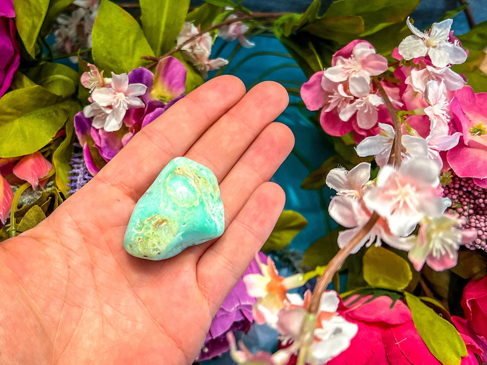 POLISHED CHRYSOPRASE Specimens (ONLINE ORDER ONLY)