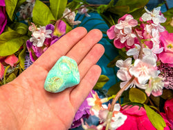 POLISHED CHRYSOPRASE Specimens (ONLINE ORDER ONLY)