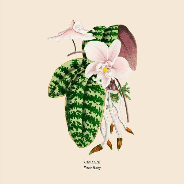 Rave Baby [Vinyl]