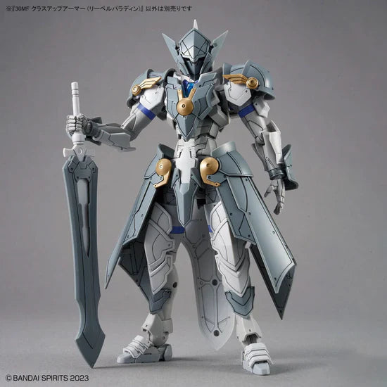 30 Minutes Fantasy Class-Up Armor Liber Paladin Accessory Set (Online Order Only)