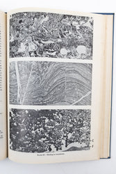 Classification of Carbonate Rocks; a Symposium (ONLINE ORDER ONLY)