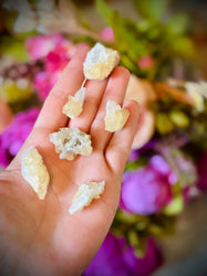 Celestite with Calcite, Clay Center, USA Minerals (ONLINE ORDER ONLY)